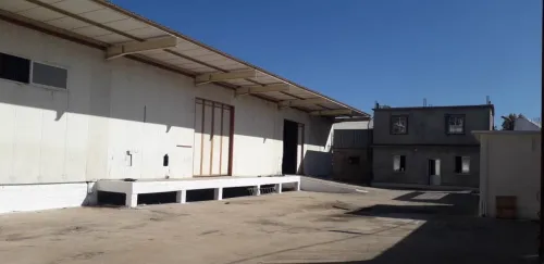 Location Hangar - Usine Blida Bouinan