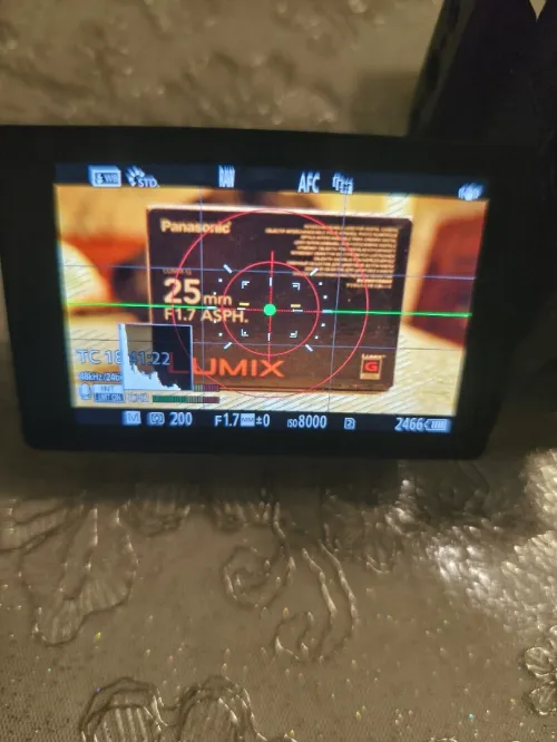 Lumix gh6