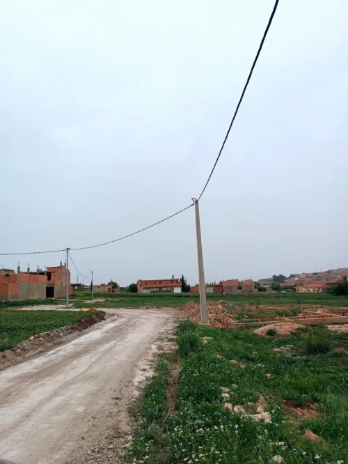 Vente Terrain Relizane El guettar