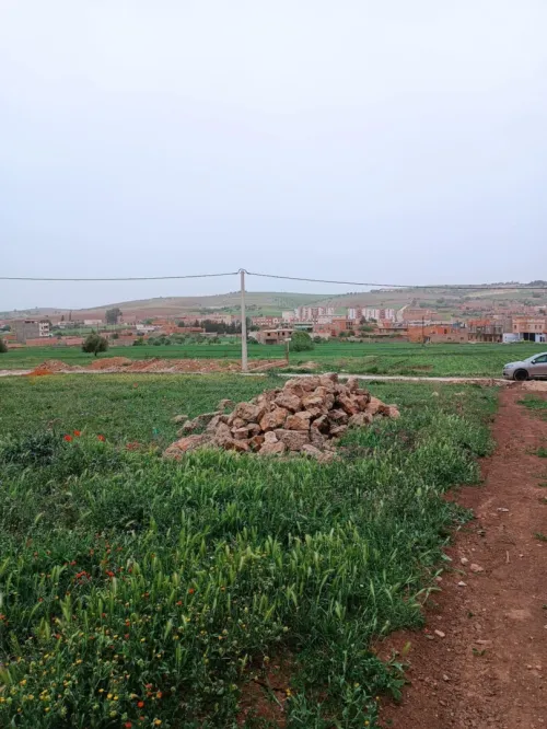 Vente Terrain Relizane El guettar