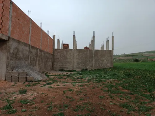 Vente Terrain Relizane El guettar