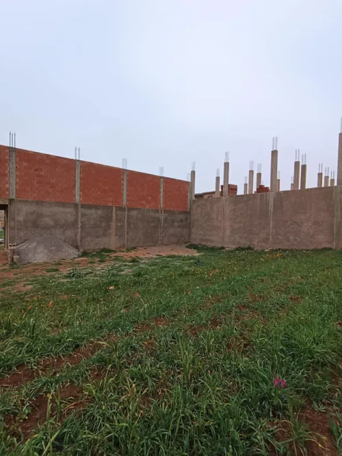 Vente Terrain Relizane El guettar
