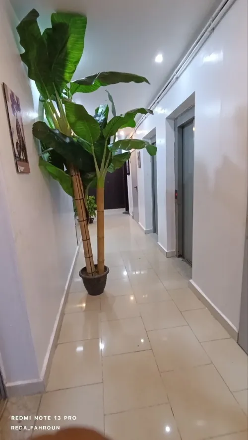 Vente Appartement F3 Oran Bir el djir