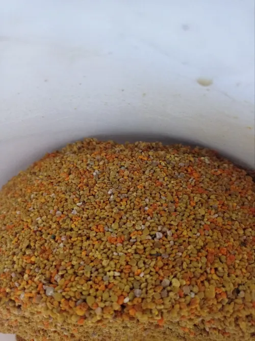 Pollen Frais &....
