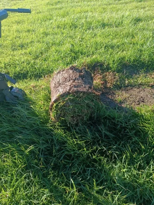 Aménagement des espaces verts