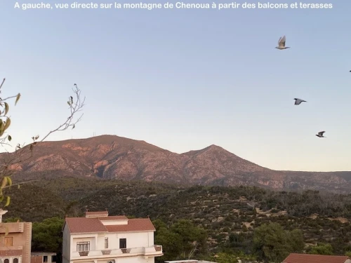 Location vacances Villa Tipaza Tipaza