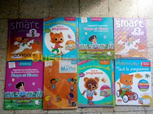 livre CE1,CE2,CP