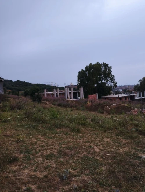 Vente Terrain Blida Ouled selama