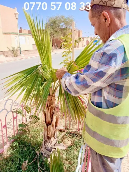 Aménagement des espaces verts