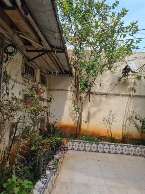 Vente Appartement Niveau de villa F5 Alger Cheraga