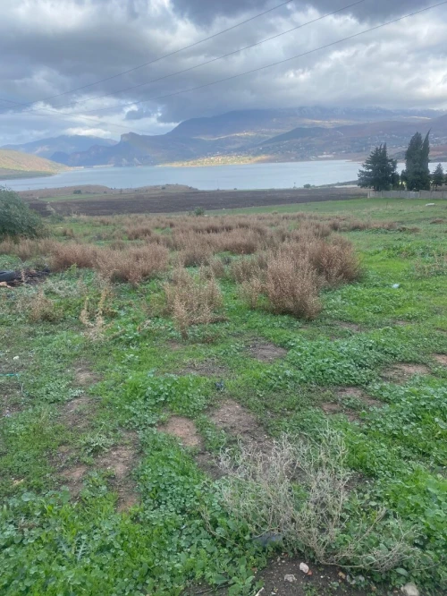 Vente Terrain Mila Sidi merouane