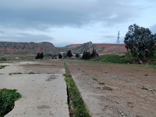 Vente Terrain Constantine Hamma bouziane
