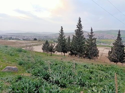 Vente Terrain Constantine Hamma bouziane