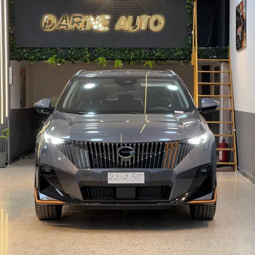 Gac Gs3 2026 R style emzoom