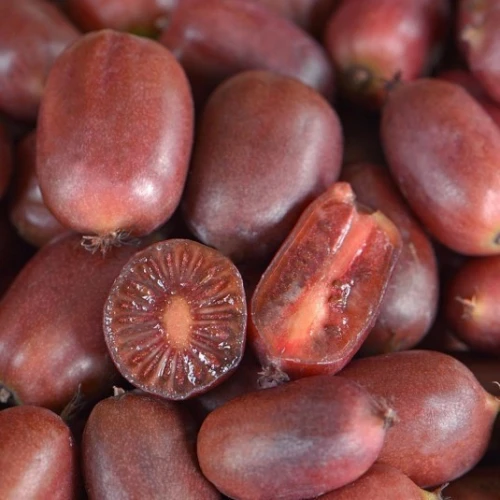 Kiwi rouge ( Purpurna Sadowa )