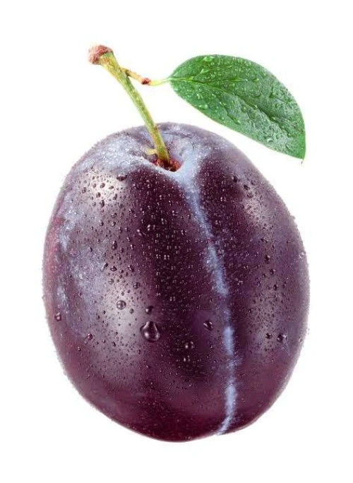 Prunier Mirabel de metz