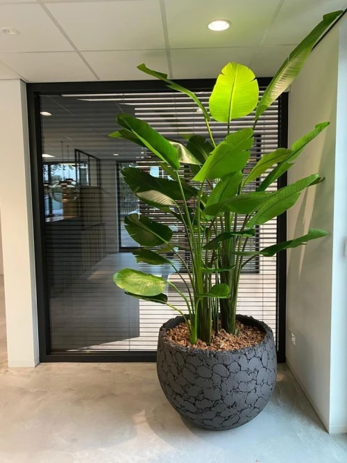 Pot de fleur Extérieur/Intérieur 