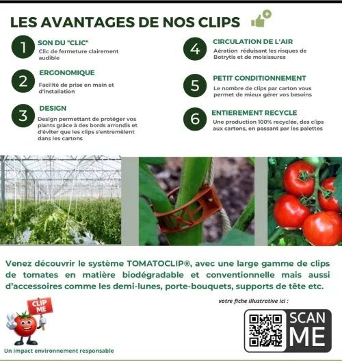 Clip tomate