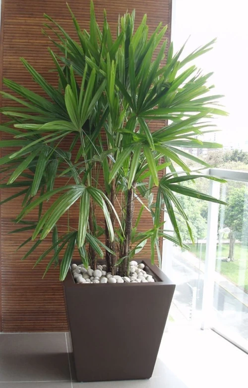 Pot de fleur Extérieur/Intérieur 