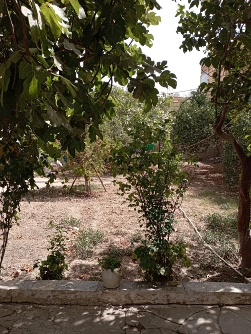 Vente Villa Alger Sidi moussa