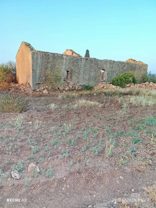 Vente Terrain Agricole Tlemcen Tlemcen