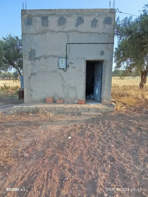 Vente Terrain Agricole Tlemcen Tlemcen