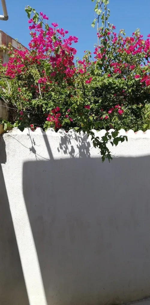 Location vacances Bungalow F2 Skikda Skikda