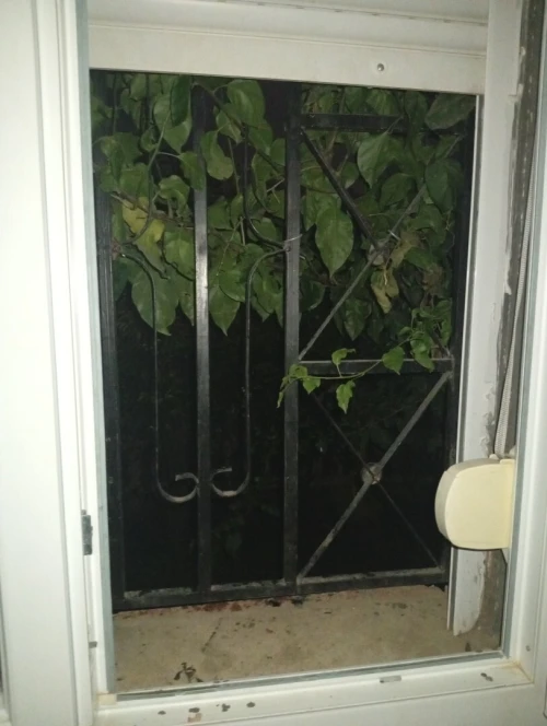 Location Appartement F3 Blida Bouinan