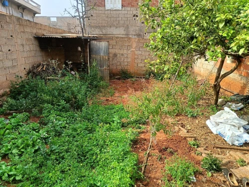 Vente Terrain Tlemcen Ghazaouet