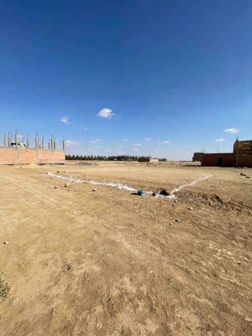 Vente Terrain Biskra Biskra