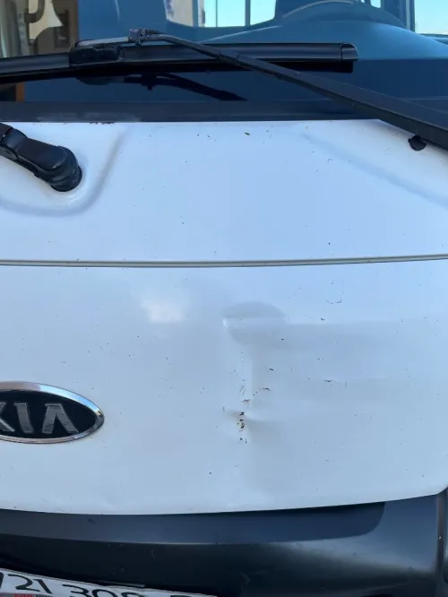Kia K2700 2008 