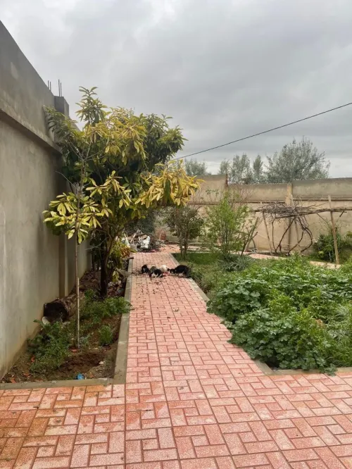 Vente Villa Bordj Bou Arreridj El hamadia