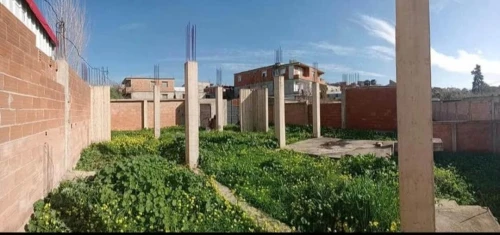 Cherche achat Terrain Boumerdès Ouled moussa