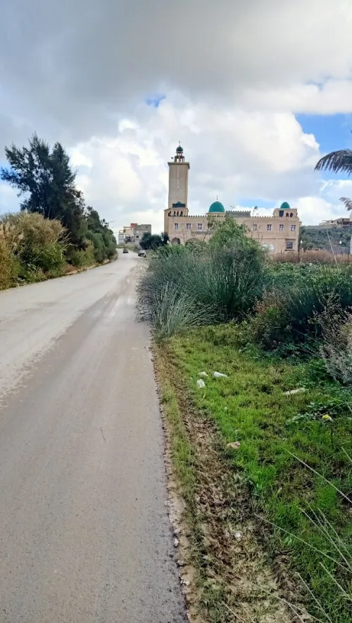 Vente Terrain Boumerdès Zemmouri