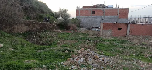 Vente Terrain Blida Ouled selama
