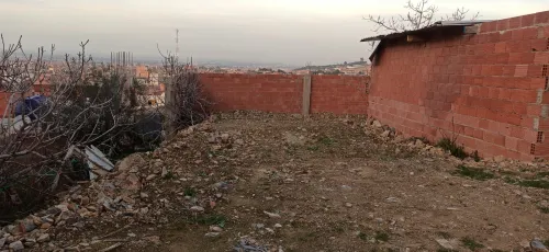 Vente Terrain Blida Ouled selama