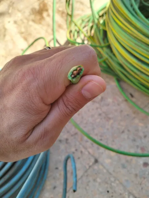 Articles d'électricité