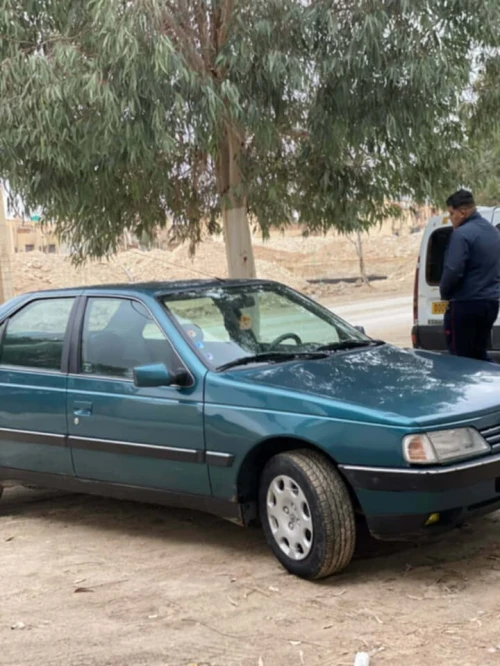 Peugeot 405 1995 