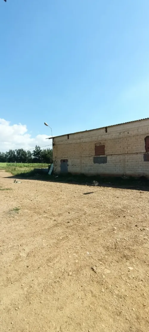 Location Hangar Oran Oued tlelat