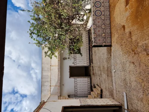Vente Terrain Oran Oran