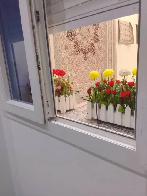 Vente Appartement F3 Alger Douera