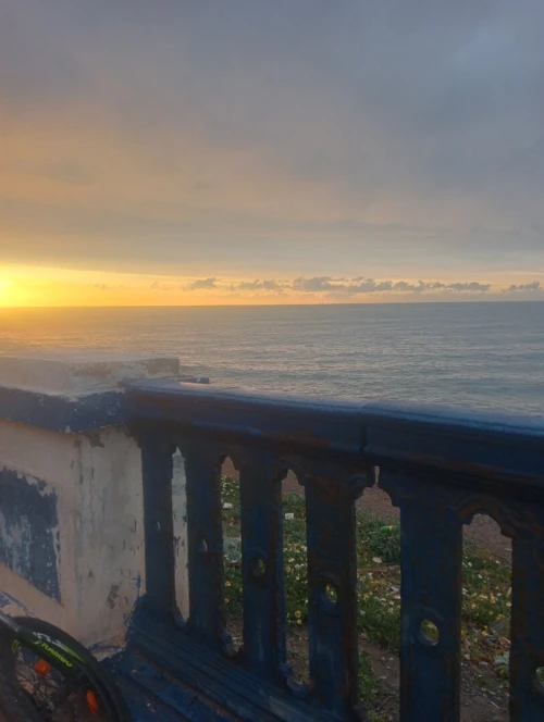 Location Local Alger Ain benian