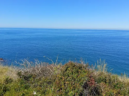 Vente Terrain Tizi Ouzou Azeffoun