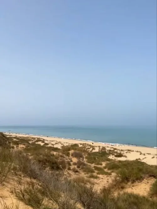 Vente Terrain Mostaganem Abdelmalek ramdane
