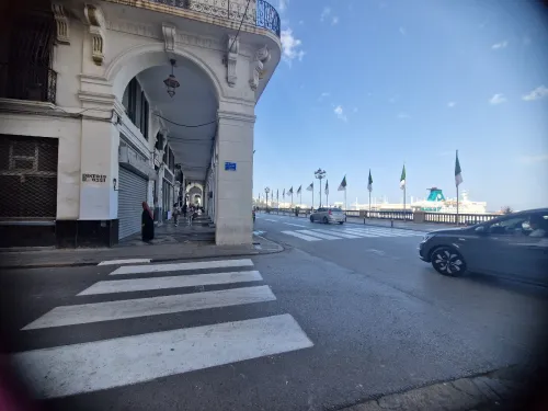 Location Local Alger Alger centre