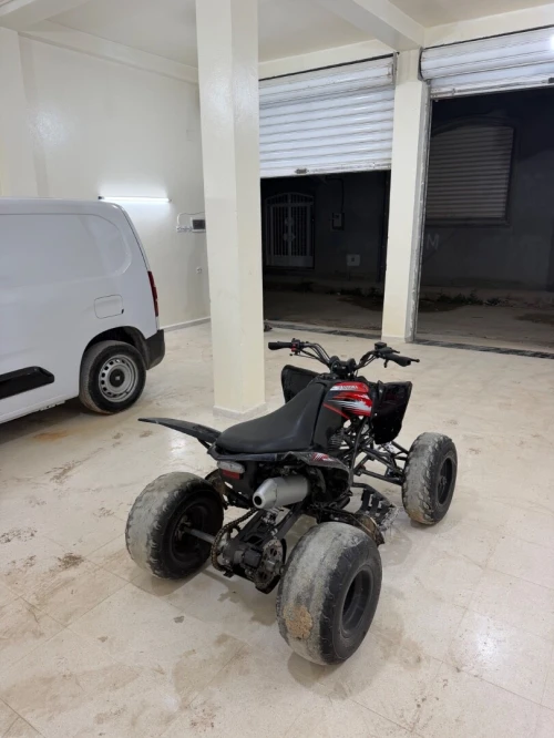 Vms Quad 2024
