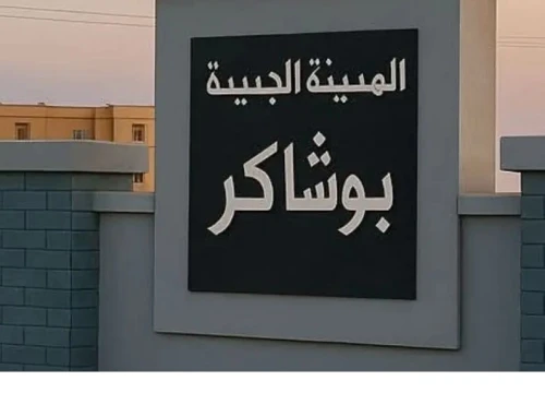 Vente Terrain Laghouat Laghouat