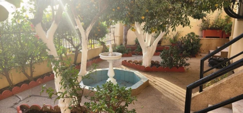 Location Villa Alger El biar