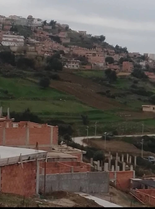 Vente Terrain Blida Djebara