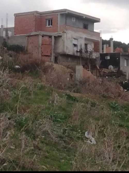Vente Terrain Blida Djebara